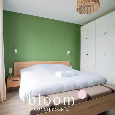 Le Solignac Neuf Et équipé * Nancy