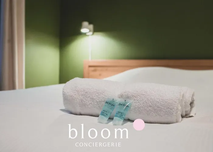 Apartment Le Solignac Neuf Et Equipe *